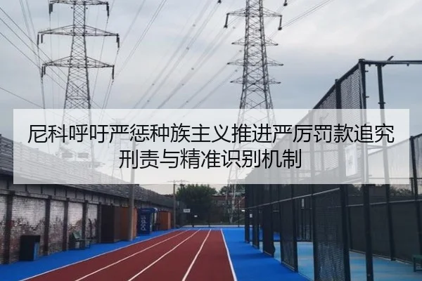 尼科呼吁严惩种族主义推进严厉罚款追究刑责与精准识别机制